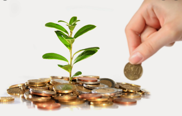 kinh doanh trực tuyến