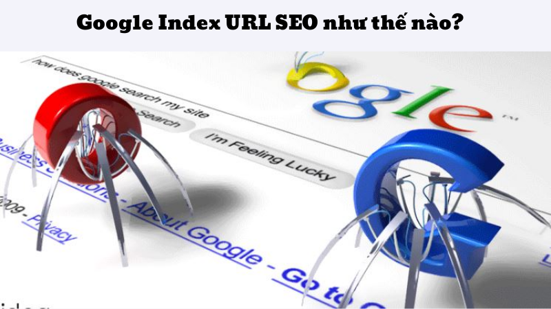 Google index là gì?
