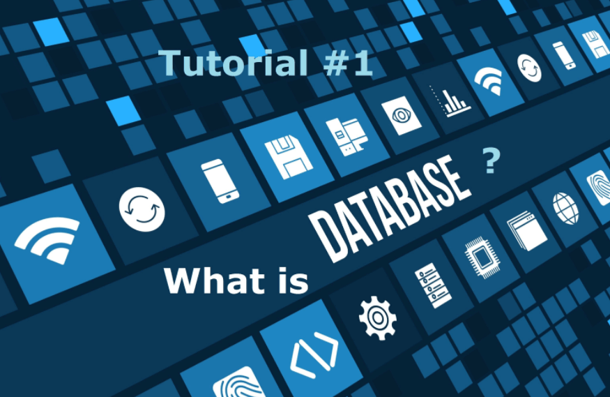 Database là gì