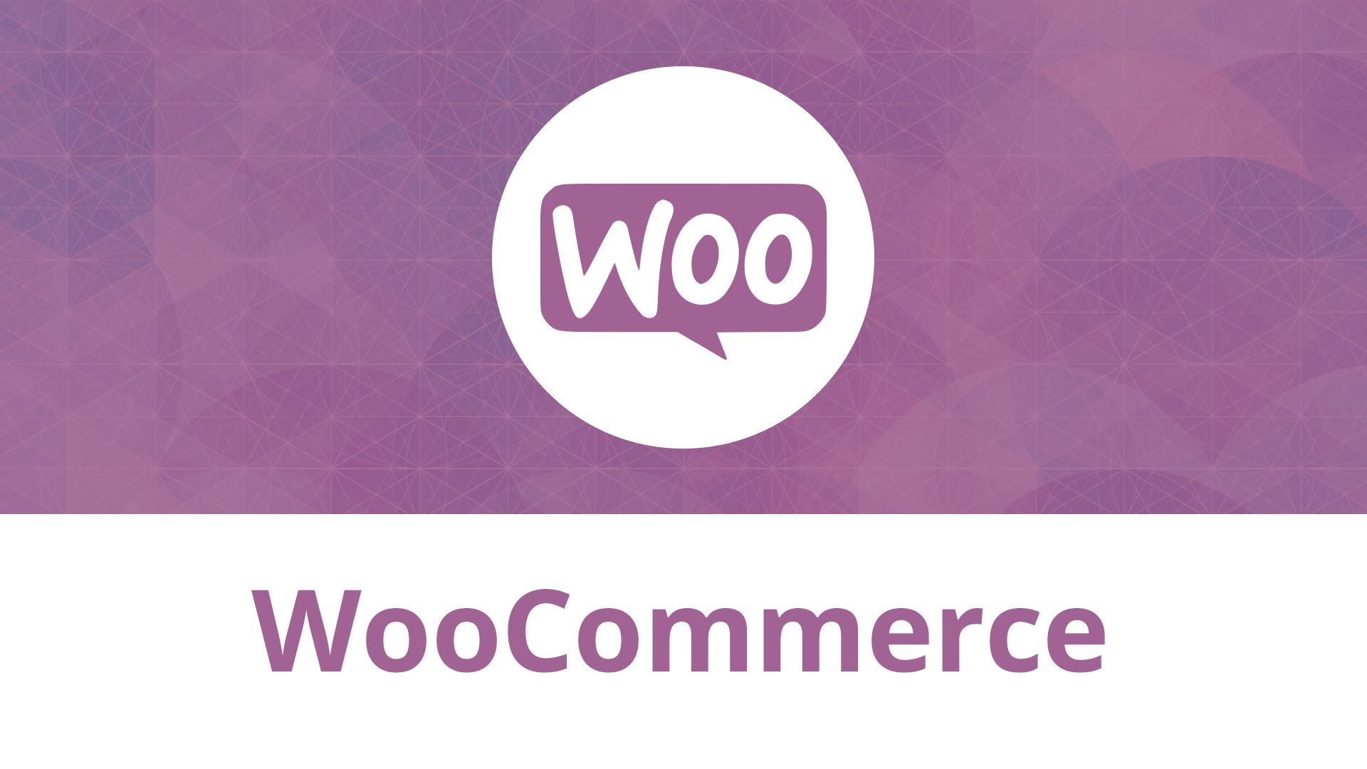 plugin cần thiết cho wordpress