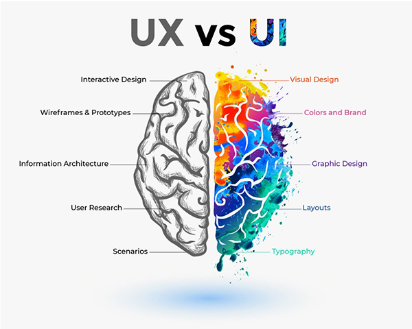 UX/UI trong thiết kế website